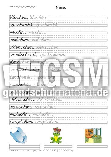 SAS Schönschreiben c bis d 2-3.pdf